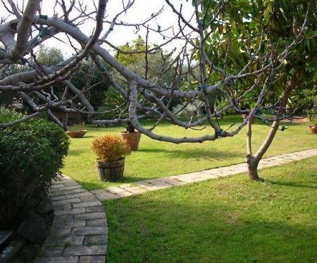 Villa Chiarenza Maison D'Hotes Giardini Naxos Exteriör bild