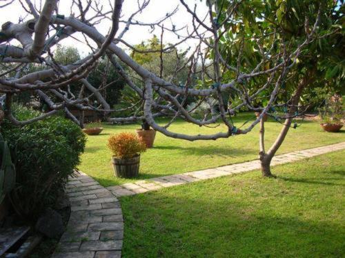 Villa Chiarenza Maison D'Hotes Giardini Naxos Exteriör bild
